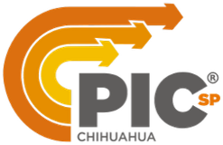 PICsp